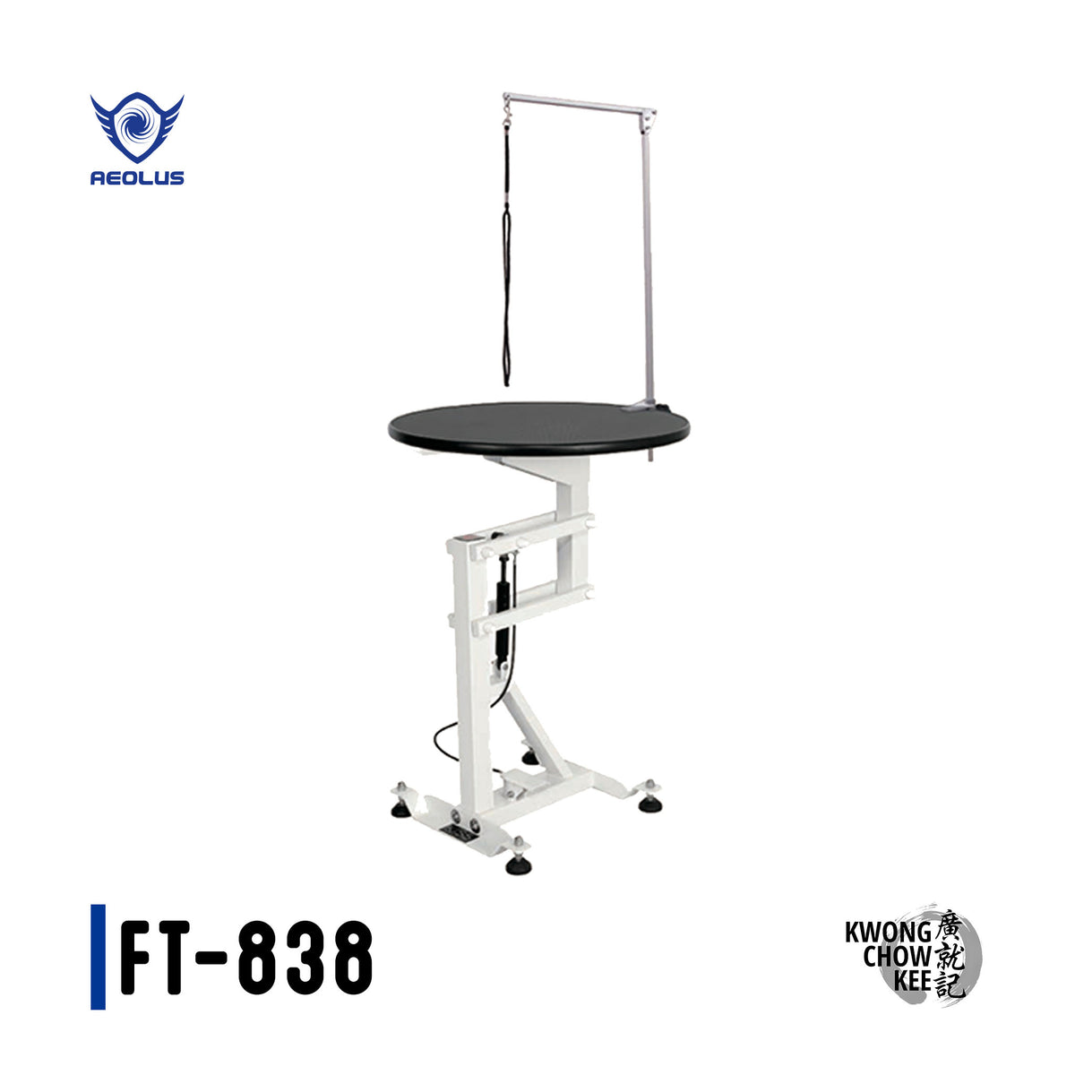 FT838 Air Lift Grooming Table KCK
