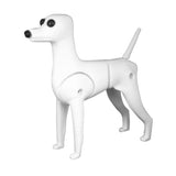 Poodle Dummy Dog