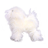 Poodle Dummy Dog