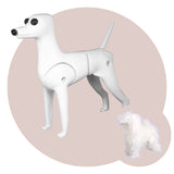 Poodle Dummy Dog