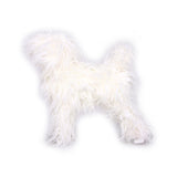 Poodle Dummy Dog