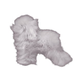 Teddy Dummy Dog